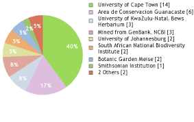 Image result for Eriosema burkei