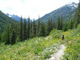 Bridge Creek Pacific Crest Trail North Cascades Wa 12 8 Miles One Way 2500 Ft Elevation L Pacific Crest Trail North Cascades National Park North Cascades