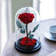 Rose éternelle sous cloche en verre lumière led cadeau saint valentin love couple bouquet fleurs disney décoration gothique chevet murale darkshadowcie. Rose Personnalisee Sous Cloche Coffret Cadeau Gravure Individuelle