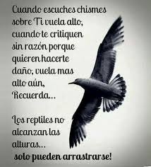 Birds That Start With Q In Spanish Pin By Jose Zuniga On No Lo Olvides Spanish Inspirational Quotes Motivational Phrases Spanish Quotes