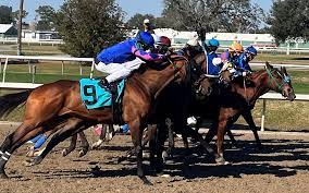What's A Furlong And Why It's Used In Horse Racing? 1 Reason