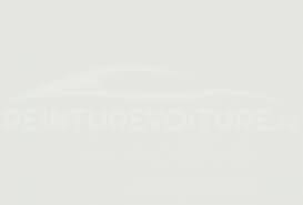 Image result for Blanc Antarctique 2014 Peugeot