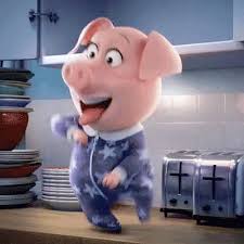 Fastest Pig Dancing Meme