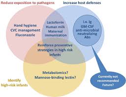 Image result for Neonatal Sepsis