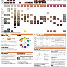 Redken Color Fusion Color Chart Bahangit Co