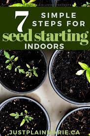 7 Simple Steps To Starting Seeds Indoors Growing Organic Vegetables Starting Seeds Indoors Organic Vegetables
