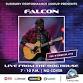 Falcon event image