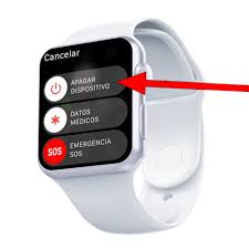 Apple Watch Edition Series 6 ...
