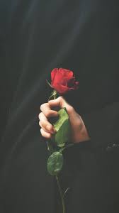 For U My Love Faqen Time Aesthetic Roses Rose Wallpaper Beautiful Wallpapers