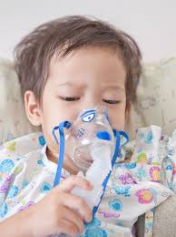 Currently available options (palivizumab) for. Rsv Infection In Infants And Young Children Vbi Vaccines