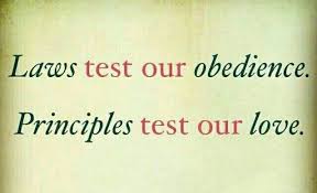 The Difference Between Laws Principles A Person May Obey The Law While Doing So Begrudgingly Principles Requ Jehovah Quotes Jehovah Spiritual Encouragement