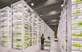 Berlin Based Urban Farming Startup Infarm Announces Japan Expansion Bridge