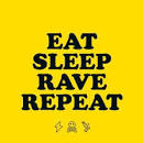 Image result for eat sleep rave repeat