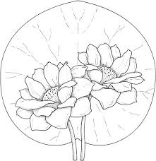 Lily colouring page flower coloring pages lilies drawing. Two Water Lilies Coloring Page Super Coloring Coloring Pages Fabric Painting Super Coloring Pages
