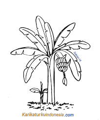 Maybe you would like to learn more about one of these? Gambar Mewarnai Pohon Pisang