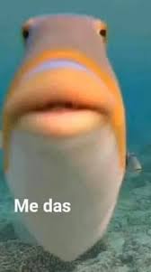 Me Das Meme En 2020 Memes En Espanol Memes Espanol