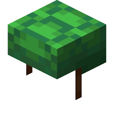 Turtle Shell Official Minecraft Wiki