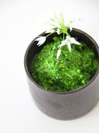Pesto D Ail Des Ours Ail Des Ours Pesto Cuisine Sauvage