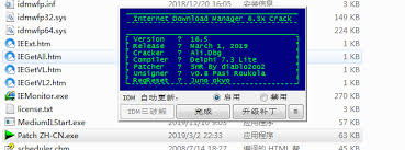 To retrieve your serial number or check its status you need to use the same email address that you used to purchase idm. ä¸‹è½½å·¥å…·ä¹‹ Internet Download Manager Pgzxc