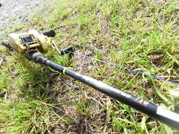 たまべら！～たまにはベラ以外も釣りたい～