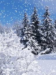 You can choose the most popular free winter gifs to your phone or computer. Download Animated 240x320 Winter Landscape Cell Phone Wallpaper Category Nature Weihnachten