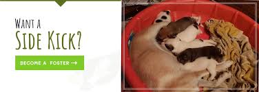 Maybe you would like to learn more about one of these? Mercy Full Project Empathy Kindness Love