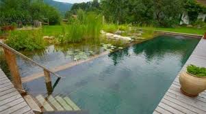 Live Plant Pools Bio Top Pool Plants Keep It Clean Piscinas Naturais Piscina Natural Piscina Biologica