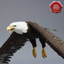 Bald Eagle Pose 1 3d Model Ad Eagle Bald Model Pose Bald Eagle Eagle Pose Balding