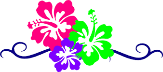 Clip Art Hibiscus Flower Hibiscus Flowers Clip Art Flower Clipart Clip Art Clip Art Borders