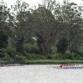Grafton December Weekend of Rowing event image