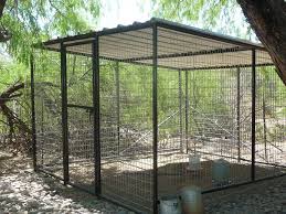 Diy bird aviary budgie kingdom watch me building an aviary for my birds! Aviaries For Sale Ideas On Foter