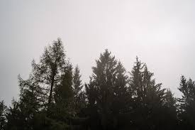 4.2 stern(e) von 0 bewertungen. Hochzeit Im Almbad Huberspitz Alexey Testov