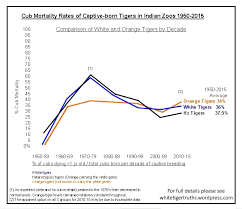whitetigertruths white tigers the truth