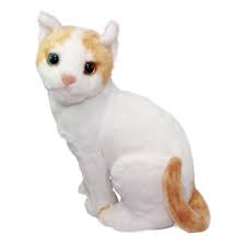 4.7 out of 5 stars. Cat Stuff Toy Cheaper Than Retail Price Buy Clothing Accessories And Lifestyle Products For Women Men
