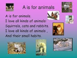 Some people like to learn animal names alphabetically. A Is For Animals A Is For Animals I Love All Kinds Of Animals Ppt Download