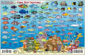 Florida Keys Fish Card Frankos Fabulous Maps Of Favorite