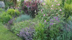 Maybe you would like to learn more about one of these? Garden Expert Shares 8 Tips For A Perfect Perennial Border 9news Com