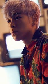 Seungri, Daesung, Cantores