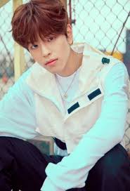Резултат с изображение за „stray kids with brown hair han“