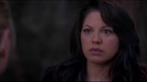 Grey's Anatomy by Douglas Lenon