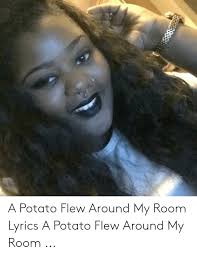Congrats, this potato represents the potato song being stuck in your brain for the rest of eternity. A Potato Flew Around My Room Lyrics A Potato Flew Around My Room Lyrics Meme On Me Me