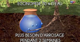 Jardins Moins D Eau Pour Plus De Rendement Une Astuce A Redecouvrir D Urgence Video Arrosage Arrosage Jardin Planter Tomates