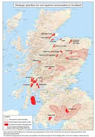 Map Of Red Squirrel Stronghold Areas Scottish Forestry
