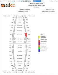 Screenshots Animal Dental Chart