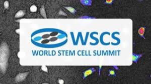 Maybe you would like to learn more about one of these? Replacing Animal Experiments With Advanced Cell Culture Studies Phi
