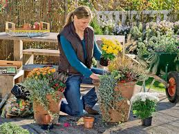Maybe you would like to learn more about one of these? Ideen Fur Eine Herbstlich Gestaltete Terrasse Mein Schoner Garten
