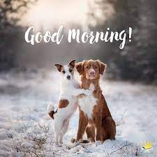 Pin On Good Morning Good Evening In this post, we present the best inspirational good morning quotes images, pictures, and motivational quotes images to start your day with. pin on good morning good evening