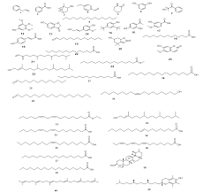 Image result for Fadogia ancylantha
