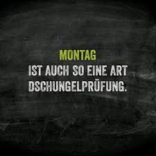 1c88a42d1ab3f5e9731f8000dafcb549 Jpg 640 640 Lustige Spruche Witzige Spruche Spruche