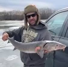 King of the Sturgeon